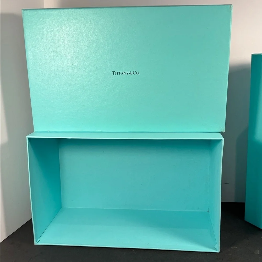 Tiffany & Co. set authentic